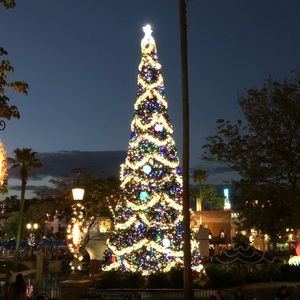 Meet your Posher, Dayana